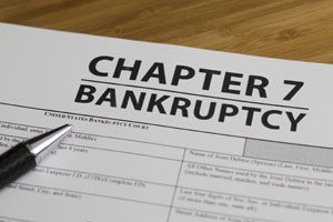 The Bankruptcy Chapters